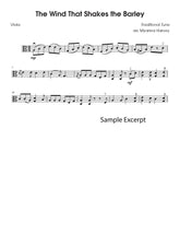 Solo viola fiddle tune sample page